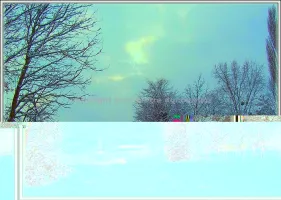 Automne hiver